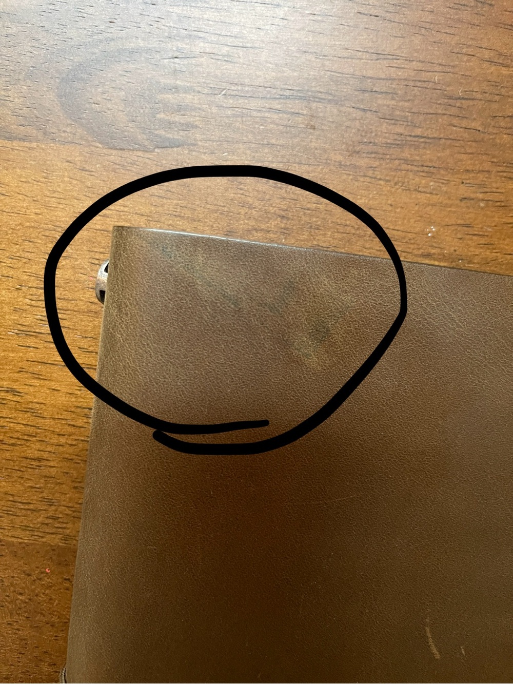 TRAVELER’S Notebook Regular Size Olive - Picture 2 of 4